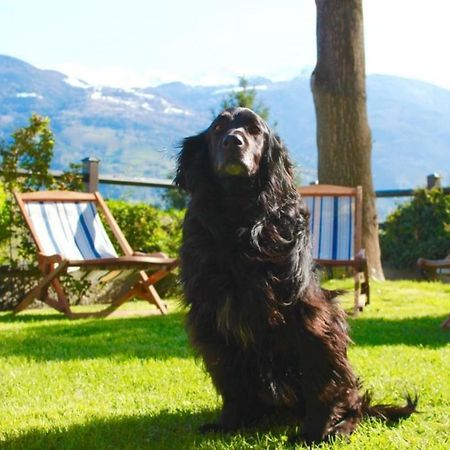 Bed & Breakfast Chez Berry Aosta Eksteriør billede