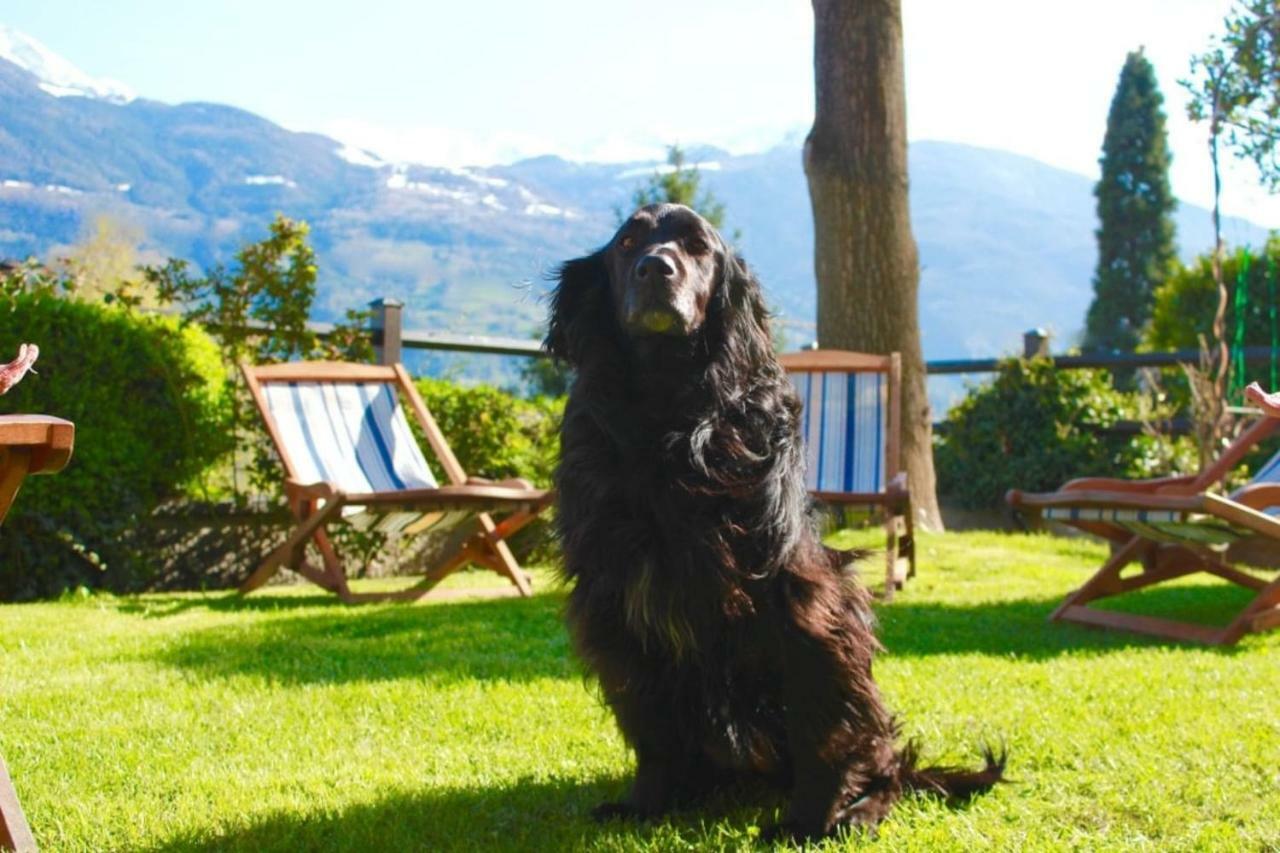 Bed & Breakfast Chez Berry Aosta Eksteriør billede